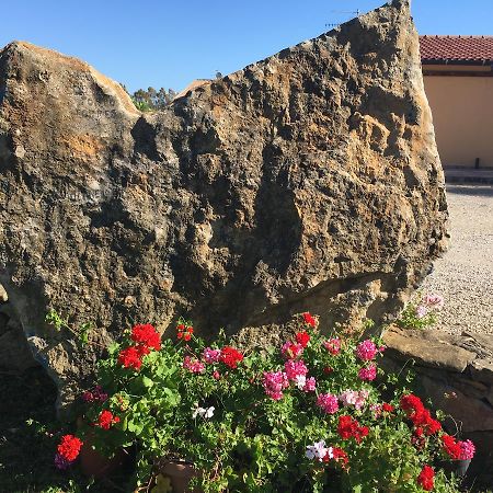 Agriturismo Sechi Campanedda 外观 照片