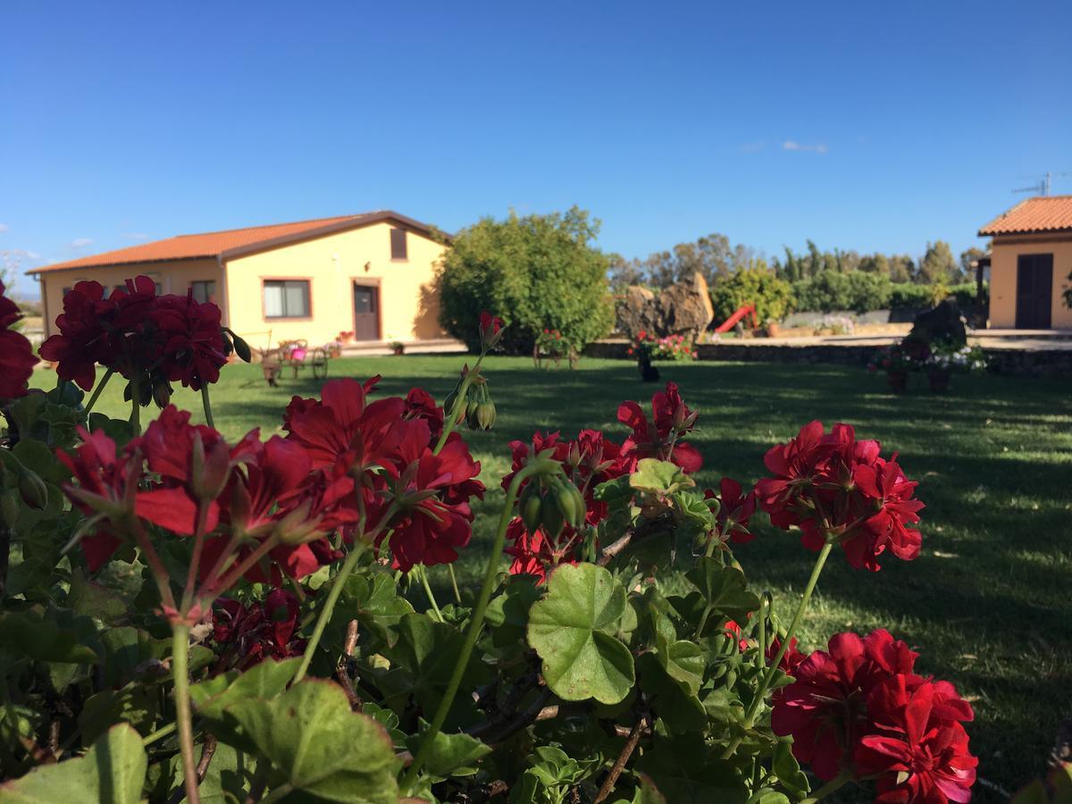 Agriturismo Sechi Campanedda 外观 照片